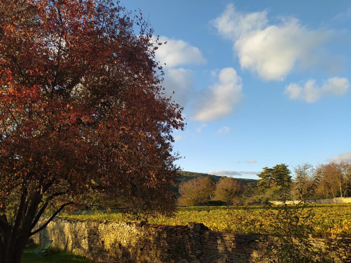 Le Clos Du Chateau Rully  Exteriér fotografie